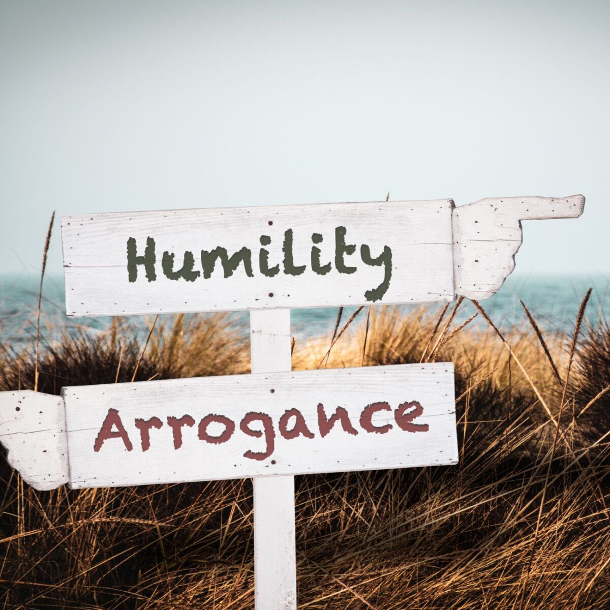 The Power of Humility: Triumphing Over Arrogance to Build a More Empathetic World