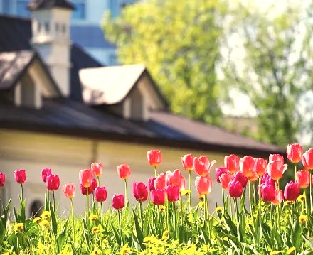 Spring is Here: Real Estate is in Full Bloom